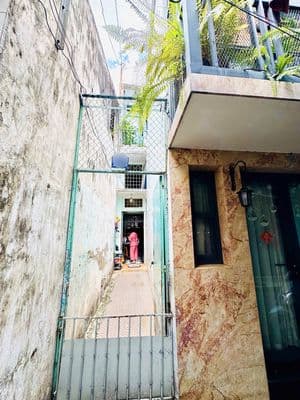 Hẻm Bùi Viện, 40,3m2, khu vực kinh doanh nhộn nhịp, dể cho thuê