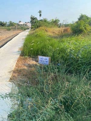 Chính chủ cần bán đất Cần Giuộc