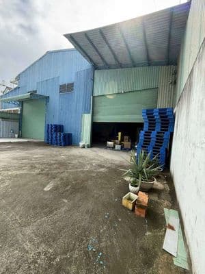 Cho Thuê Nhà Xưởng Quận 12. dt: 600m, Điện Bình 320kva