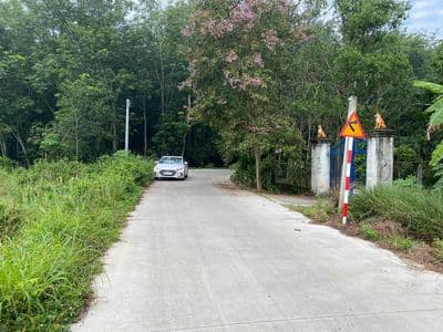 Chính Chủ kẹt tiền cần bán đất phước sang phú giáo