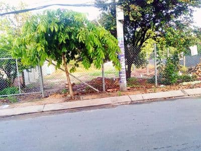 Bán gấp đất SHR ( 312m2 Giá 980Tr ) đường Trần Văn Chẩm, Tân Thông Hội