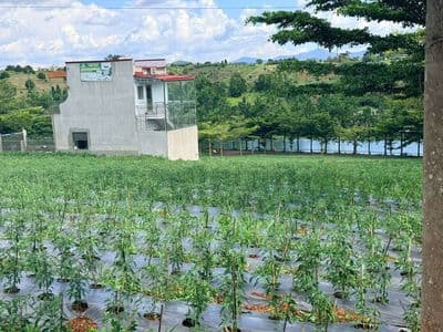 Đất nghĩ dưỡng parthill lộc tân
