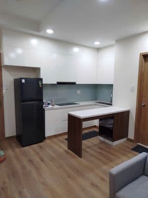 Cho thuê căn hộ Viva Plaza Quận 7 47m2 1PN đủ nội thất giá 10tr ở ngay
