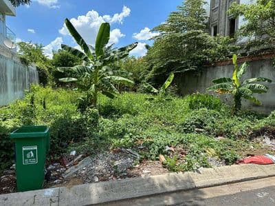 Bán đất 120m² – view đông bắc – giá 65tr/m²