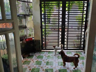 Cho thuê nhà nguyên căn – full nội thất