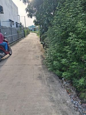 Bán đất 90m2 thổ cư gần chùa Thiên Mụ Cần Giuộc
