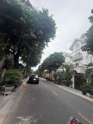 Nhà nguyên căn 6x25 đúc 1T2L 4PN pk bếp sân thượng