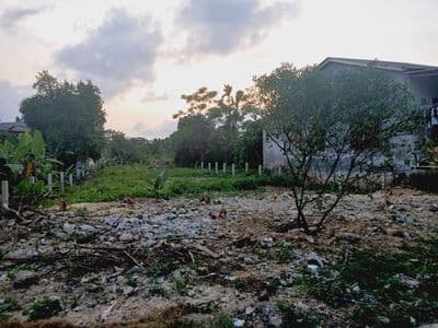 Bán đất đường Thanh Nghị, Cách đường chính Bùi Thị Xuân 40m