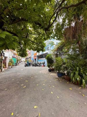 Hẻm 9.5m Đinh Tiên Hoàng 6 x 19m 4 lầu 13.5 tỷ gấp bán