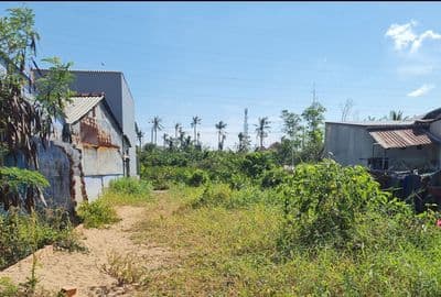 Bán đường Sương Nguyệt Anh