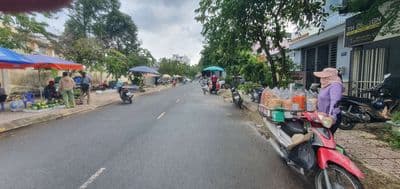 cặp nền hiếm khu văn hóa Tây Đô