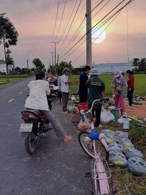 Ngộp bank, bán gấp 303m2 đất thổ cư Tỉnh Lộ 832 chỉ 1.2 tỷ