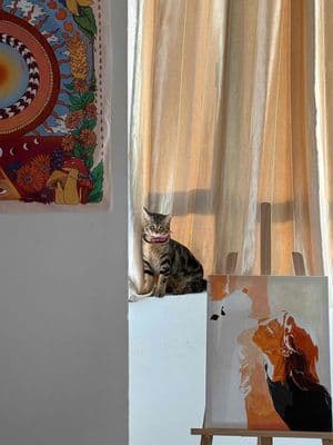 Share phòng ngủ có wc riêng