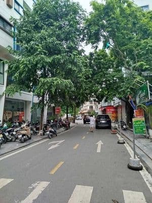 Cho thuê nhà nguyên căn Vạn Phúc, 55m, 5 tầng, ô tô đỗ cửa