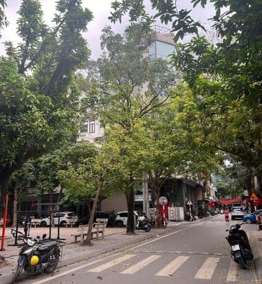 Cho thuê nhà 55m2, 4 tầng, 6PN Ngụy Như Kon Tum, Nguyễn Tuân