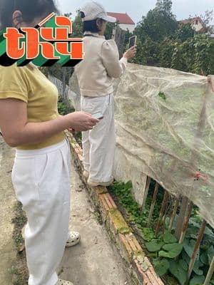 Bán đất Đan Tảo, Sóc Sơn, giá tốt