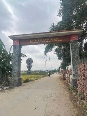 Bán đất kinh doanh Sóc Sơn, full thổ cư, đường 8m, gần sân bay Nội Bài