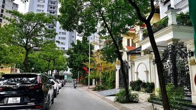 Bán Biệt thự 200m2 Yên Hòa, Cầu Giấy - 97.99 tỷ