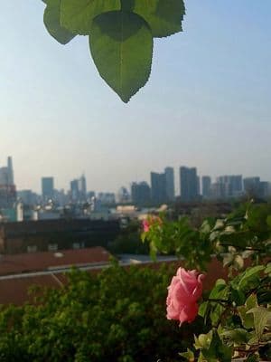 Cho thuê Riva park 2pn, trung tâm SG, view pháo hoa q1, thủ thiêm