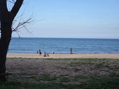 Bán 6000m2 MT Lạc Long Quân, Tp Phan thiết, mặt biển, gần Bikini beach