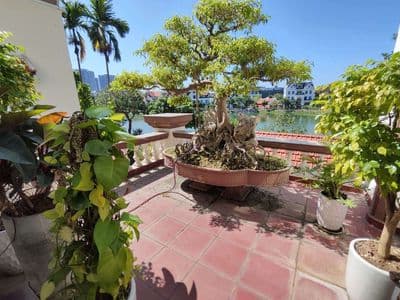 Cho thuê bt vip cạnh vin smart city, view hồ, thang máy & nội thất sịn
