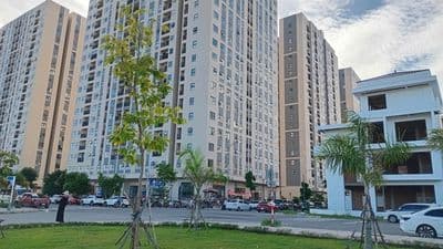 Cho thuê nhà cấp 4 mt kinh doanh view trực diện tòa chung cư bầu tràm