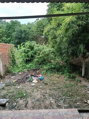 Cho thuê nhà 2 phòng ngủ có đất, sân xe hơi - Tương Bình Hiệp, TDM
