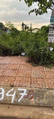đất lê vụ