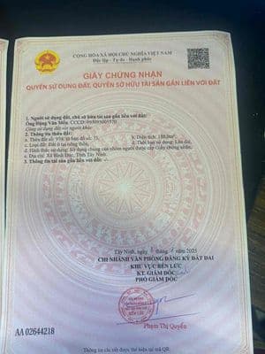 Bán dat mt đường cây diep