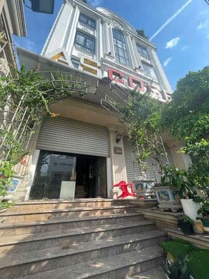 Cho Thuê Tòa Nhà Văn Phòng, 1 Hầm 4 Tầng có sân thượng
