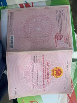 đất thổ củ chi