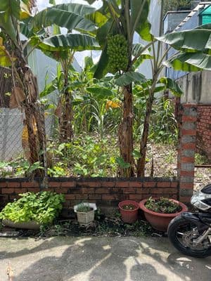 bán đất thổ cư đường 33 nguyễn xiển