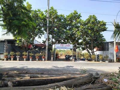 Cần bán đất mặt tiền đường Trương Văn Đa - Bình Chánh