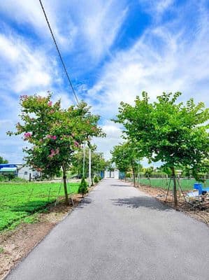 Đất ven Đà Lạt - ngay Sân Bay Liên Khương - diện tích lớn - rẻ nhất
