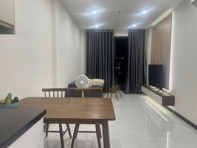 Thuê 2pn full nội thất cao cấp – c skyview chánh nghĩa, tdm bd 10tr
