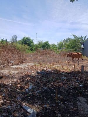 chính chủ cần bán lô đất kcn trảng nhật điện thắng