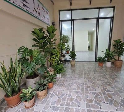 cho thuê nhà hẽm xe hơi Giá Rẻ