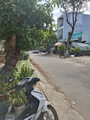 Bán nhà cấp 4