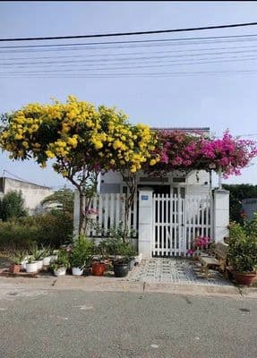 Nhà cấp 4 diện tích 4x11 chỉ 385tr - shr