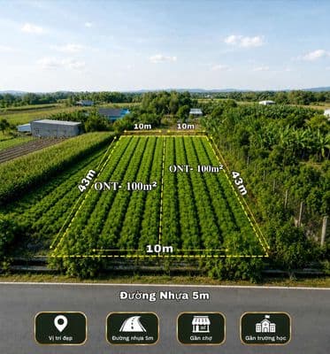 Nghĩa Thành 868,9m², 200Tc, Gần KCN Sonaderzi, Giá chỉ 4,1 Tỷ