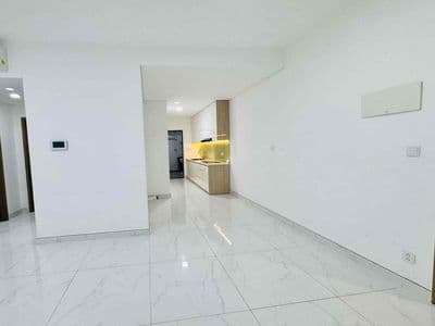 C. Chủ Cho thuê CH Diamond Celadon CiTy 92m 15tr có NT nhận ngay