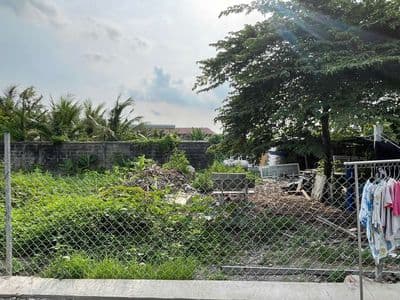 Đất 6,5x15m, Shr MT Nhựa 7m 1/70m Phan Văn Hớn Gần Trường Tiểu Học XTT