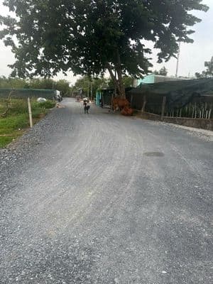 cần tiến bán gấp lô đất như troing hình