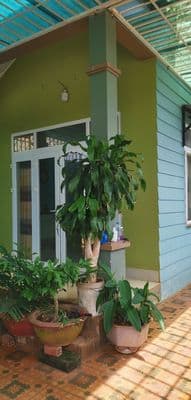 Cho thuê nhà ở nguyên căn 8m x 23m tại tt buôn ma thuột≠===