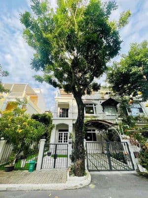 Cho thuê biệt thự quận 7, ntcb 3pn nhà đẹp, 45 triệu/ tháng