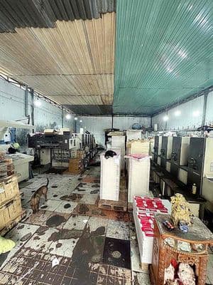 Nhà xưởng cấp 4 (9 x 15) có 3 pha ,kênh nước đen ,bình tân