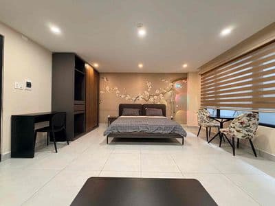 Siêu phẩm 1pn quận 10 | gần huflit - big c - giờ tự do - nội thất