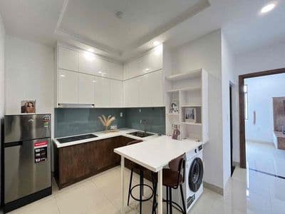 Cho thuê căn hộ mini gần sát lotte , phú mỹ hưng , tdut , rmit q7