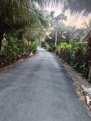 Đất cai lậy 500m² (10x50) – 100m² thổ cư – mặt nhựa, giá 1,5 tỷ