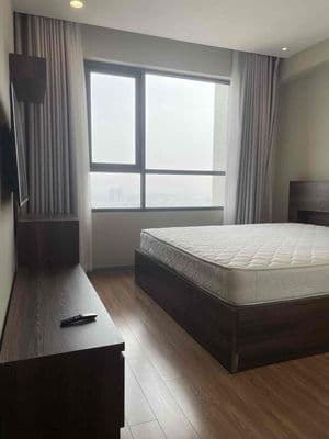 Tổng hợp cho thuê the goldview Q4